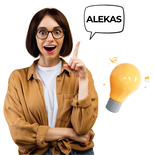 Alekas Solution Provider